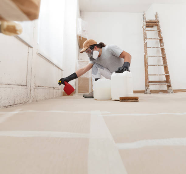 Best Mold Documentation for Insurance Claims  in Canby, MN