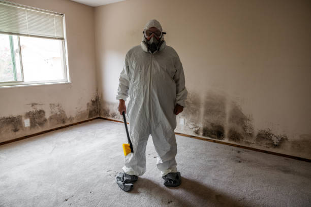 Mold Documentation for Insurance Claims in Canby, MN